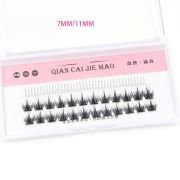 Buying Retail DIY Little Devil Cat-eye Individual Single Cluster Lashes
