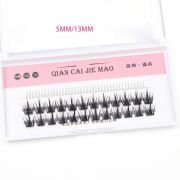 Buying Retail DIY Little Devil Cat-eye Individual Single Cluster Lashes