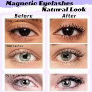 Best Selling Everyday Wear Waterproof Magnetic Lashes with V-shaped Eyelash Curler
